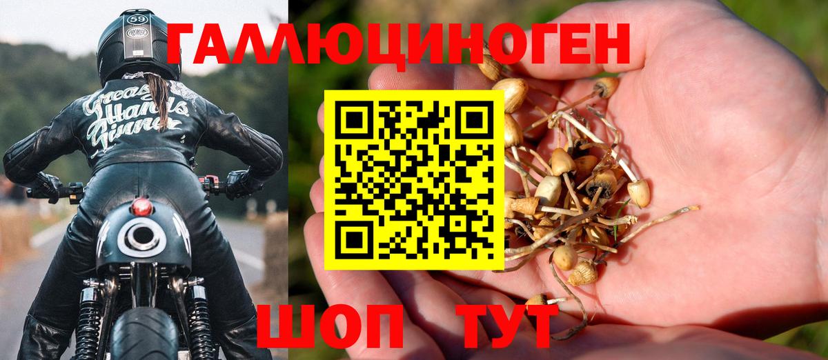 Гашиш  Марихуана  Тамбов  A PVP СОЛЬ кристаллы  Вход с VPN  Гашиш  Меф МЯУ МЯУ  